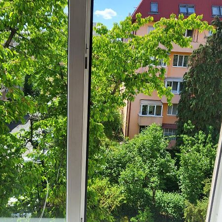 Apartament Florilor Baia Mare Exteriér fotografie