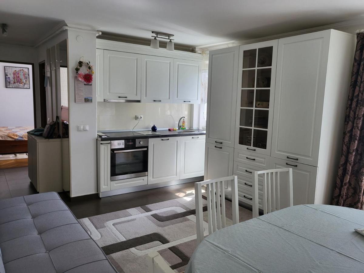 Apartament Florilor Baia Mare Exteriér fotografie