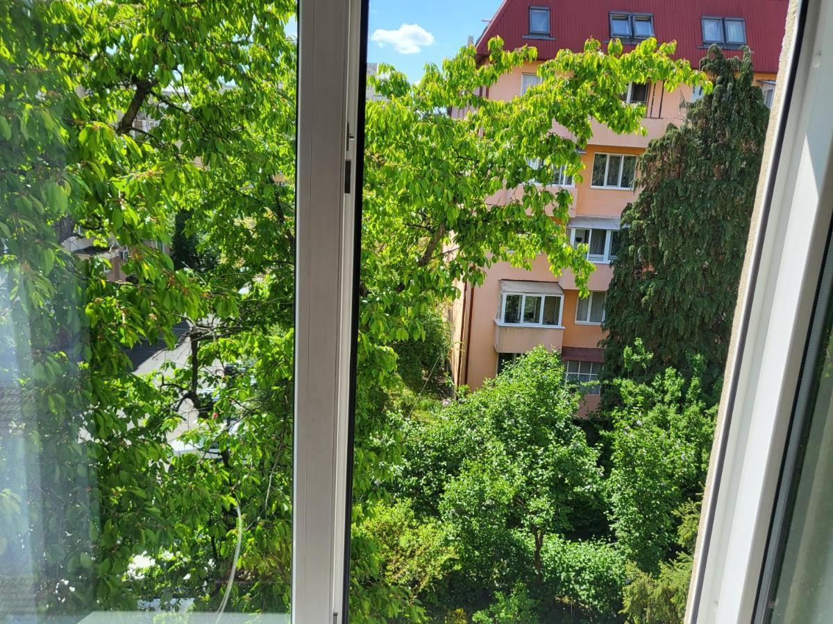 Apartament Florilor Baia Mare Exteriér fotografie